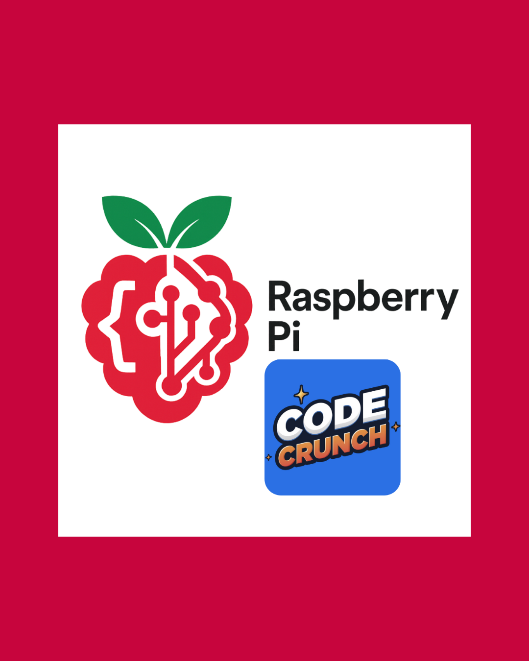 raspberrypicodecrunch-4x5-color-onbrand